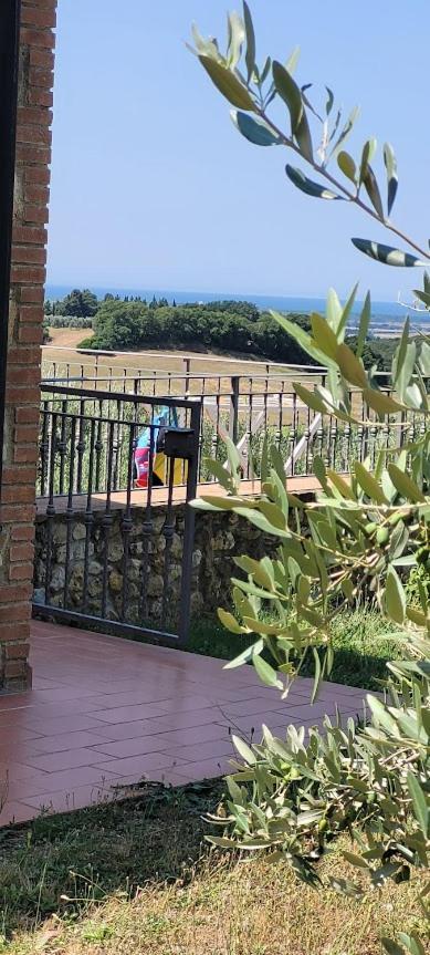 Agriturismo Il Poggio Casale Marittimo Exterior foto