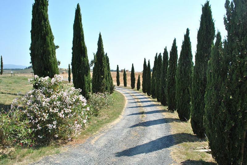 Agriturismo Il Poggio Casale Marittimo Exterior foto
